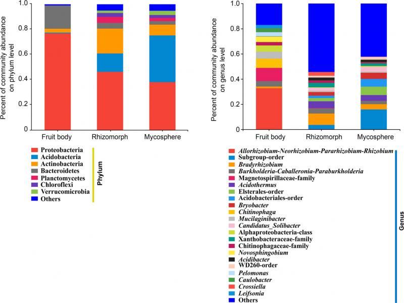 Bacterial communities of Cantharellus cibarius at a) the phylum and b) genus levels. Others represent all phyla or genera with less than 2% abundance. Each part was an average of five replicates.