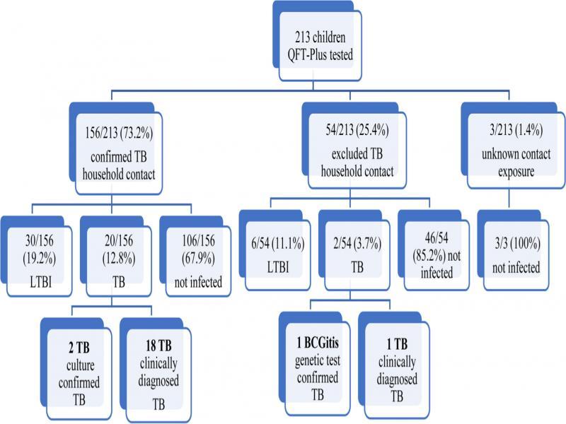 Flow diagram of exposure to tuberculosis and final diagnosis.