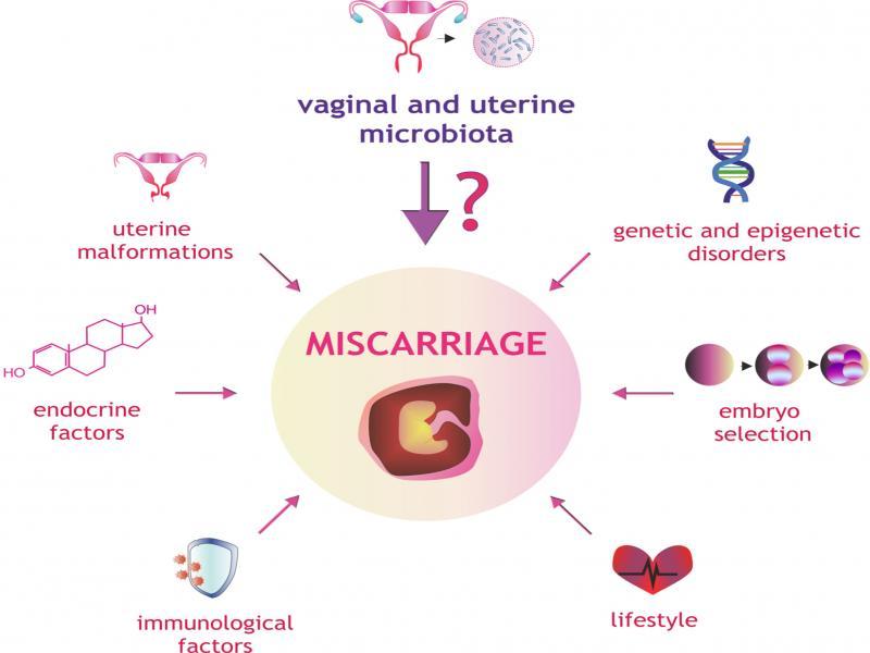 Factors affecting the risk of miscarriage.