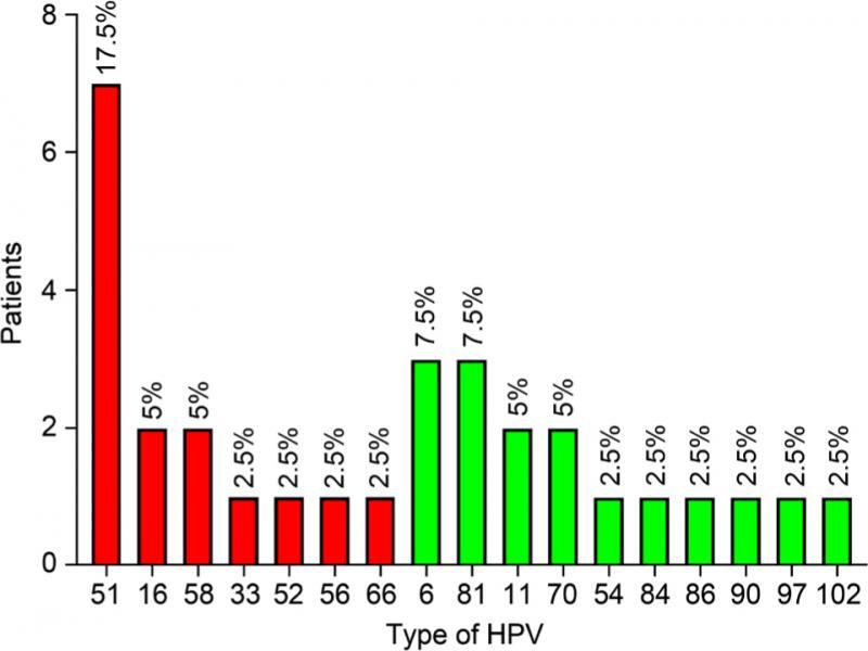 HPV genotype frequency detected by PCR. Red bars – HR-HPV types, green bars – LR-HPV.