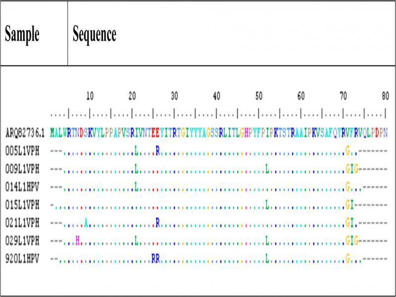Comparison of amino acid sequences of the L1 gene of HPV51 from clinical samples. The figure shows amino acids sequences of seven HPV51-positive clinical isolates. The reference sequence is at the top. The amino acids from the clinical samples that were homologous to the reference sequence are shown as points. Capital letters indicate differences with respect to the reference sequence. Sequence alignment was performed using ClustalW multiple alignment software v1.4.