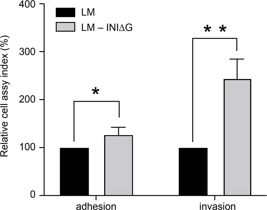 Relative adhesion and invasion of LM and LM-ΔInlG in Caco-2 cells. This test was done in triplicate in each run and repeated for three times. The cell assay rates of LM19111 were set at 100%. * p < 0.05; ** p < 0.01.