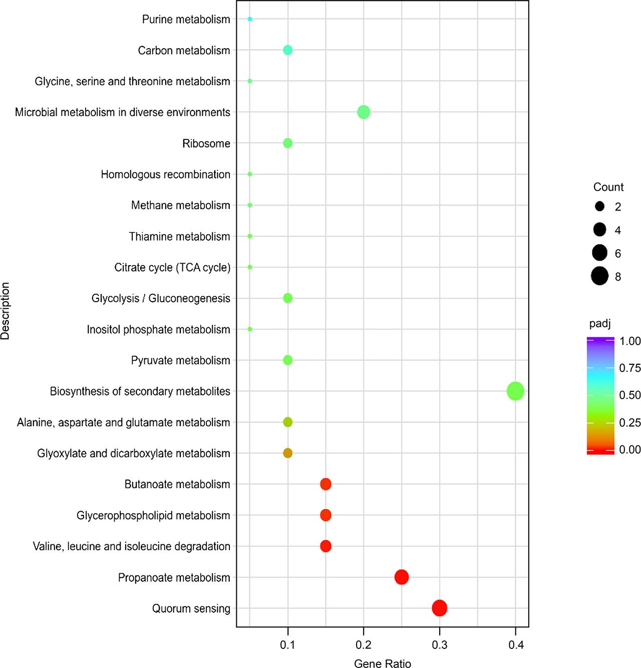 KEGG pathway analysis of differentially expressed genes in LM-ΔInlG compared to LM. The enriched KEGG categories are on the vertical axis. The ratio of the enriched DEGs in the KEGG category to the total genes in that category is shown on the horizontal axis.