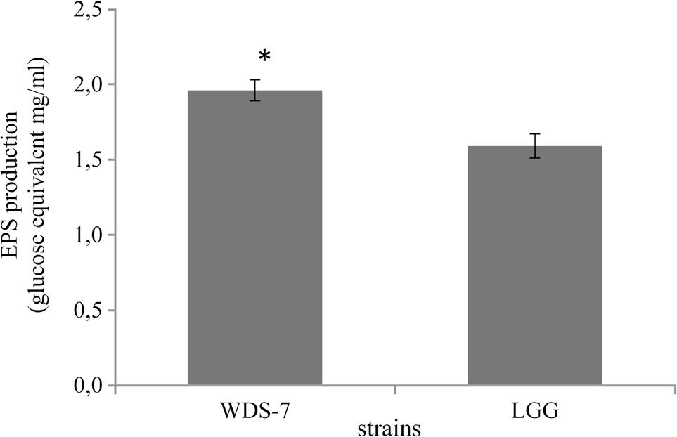 EPS production activity of Lactobacillus delbrueckii ssp. indicus WDS-7 strain.* – represents the statistical significance (p < 0.05).