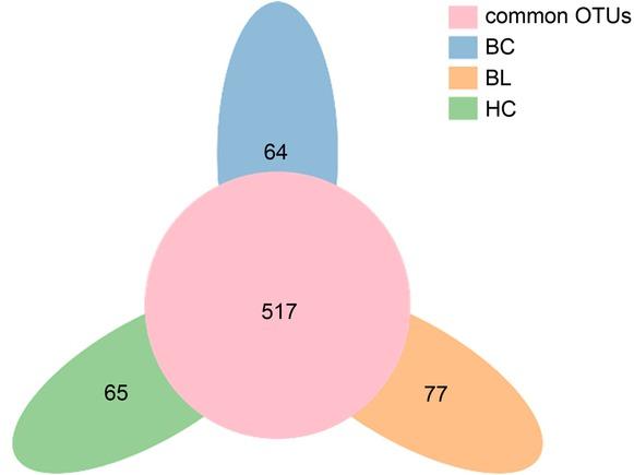 The Petaline graph for calculated OTUs. Different colors designate different groups. The central circular area designates the set of OTUs often present in the counterpart groups, and the single-layer zone designates the number of OTUs uniquely found in each group; BC – breast cancer, BL – benign breast lesions, HC – healthy controls.
