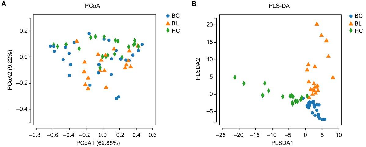PCoA and PLS-DA analysis of microbiota among breast cancer patients, benign breast lesion patients, and healthy controls. Blue circles, orange triangles, and green diamonds represent samples in different groups. The closer the spatial distance of the sample, the more similar the species composition of the sample.A) PCoA plot based on weighted Unifrac; B) PLS-DA plot; BC – breast cancer, BL – benign breast lesions, HC – healthy controls.