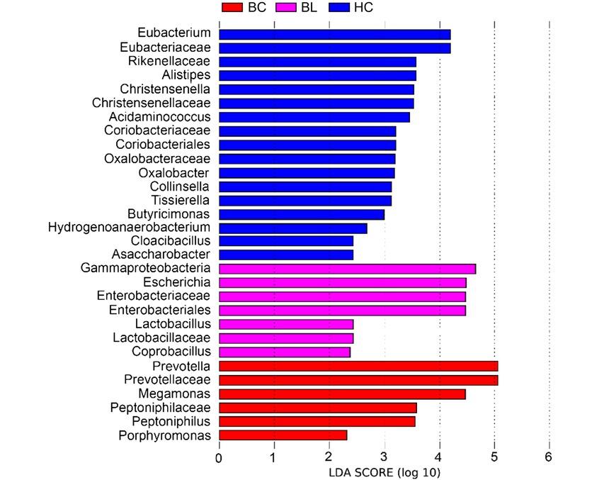 Characteristics of bacterial community composition in breast cancer patients, benign breast lesion patients, and healthy control groups. The linear discriminant analysis (LDA) coupled with effect size (LEfSe) was performed using the LEfSe program. An LDA (log10) score of > 2.0 was considered significant; BC – breast cancer, BL – benign breast lesions, HC – healthy controls.