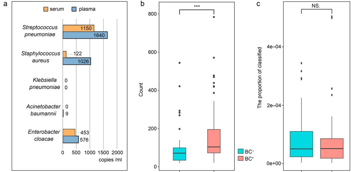 a) Comparison of cfDNA reads number/concentrations (copies/ml) of pathogens by cfDNA mNGS between plasma and serum; b) comparison of cfDNA read numbers/concentrations (copies/ml) between BC+ and BC–; c) comparison of the microbes-derivative cfDNA reads/total cfDNA reads between BC+ and BC– patients. *** – p < 0.001, NS – not significant, BC – blood culture, cfDNA mNGS – cell-free DNA metagenomics next-generation sequencing, + – positive, – – negative
