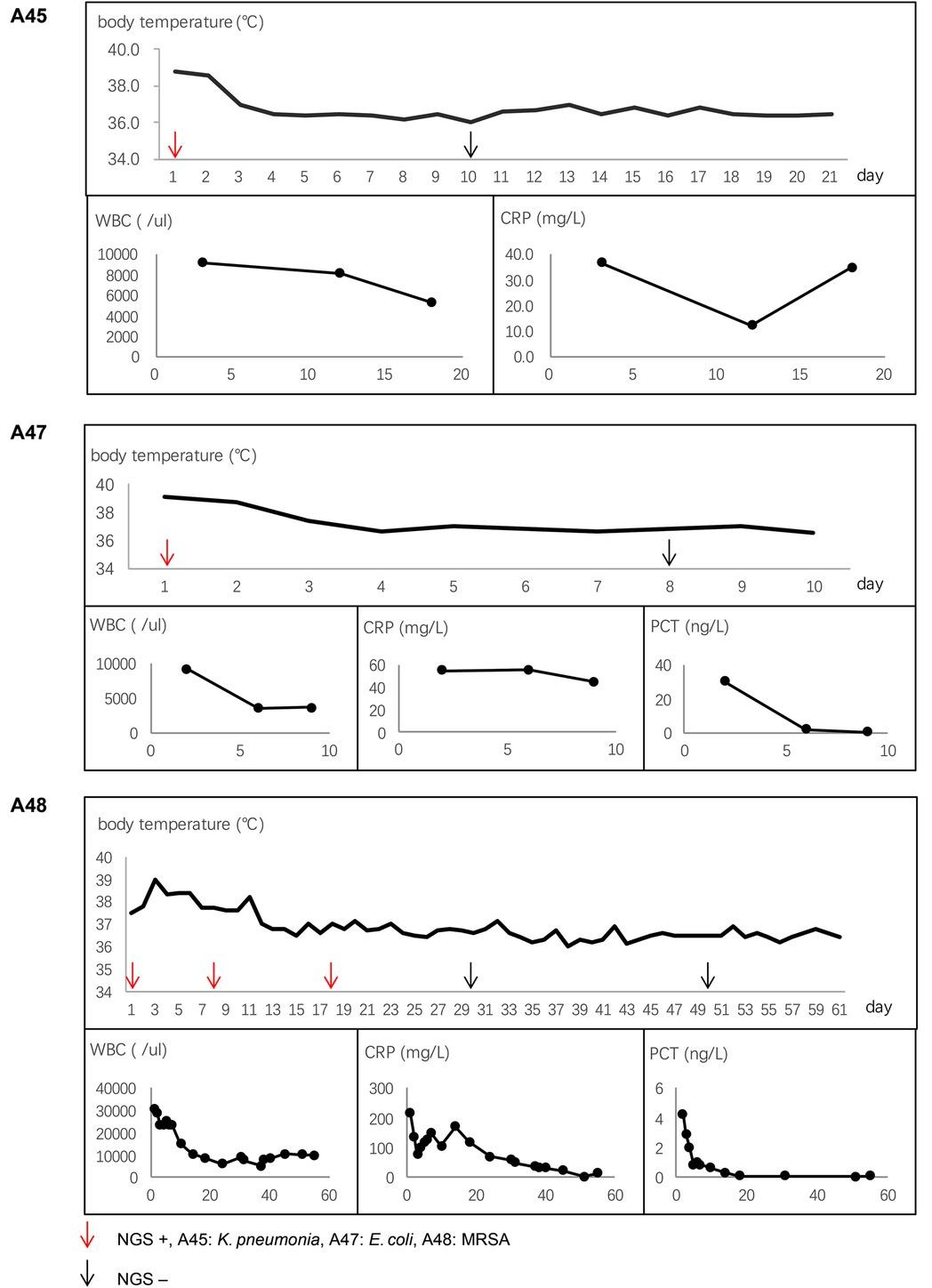 Patient symptoms with antibiotic treatment.WBC – white blood cells, CRP – C-reactive protein, PCT – procalcitonin, MRSA – methicillin-resistant S. aureus, NGS – cell-free DNA metagenomics next-generation sequencing