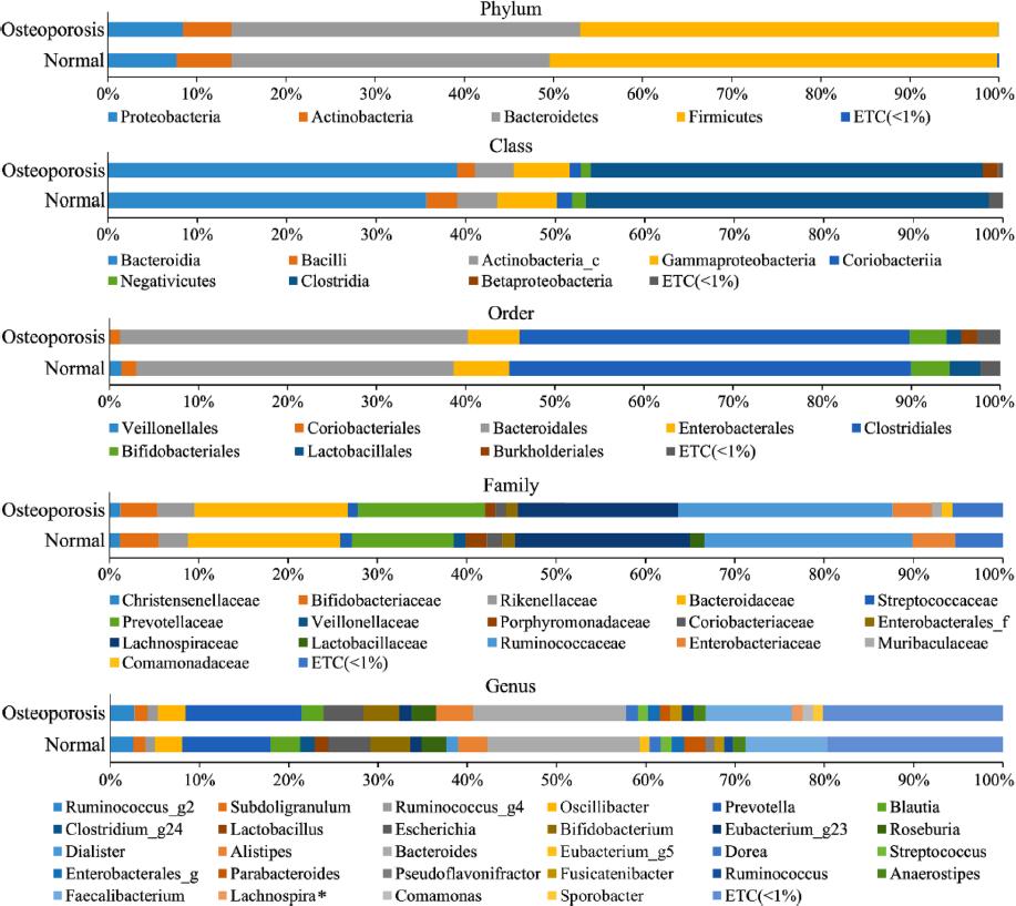 Average taxonomic compositions of healthy controls (normal) and osteoporosis patient groups. The normal group and osteoporosis (OP) patients were further classified at the phylum, class, order, family, and genus levels. Those with relative abundances less than 1% were expressed as ETC. Only the Lachnospira genus showed a significant difference between the two groups among taxa of all ranks. Statistical significance between groups was analyzed using the Wilcoxon rank-sum test. *p < 0.05.