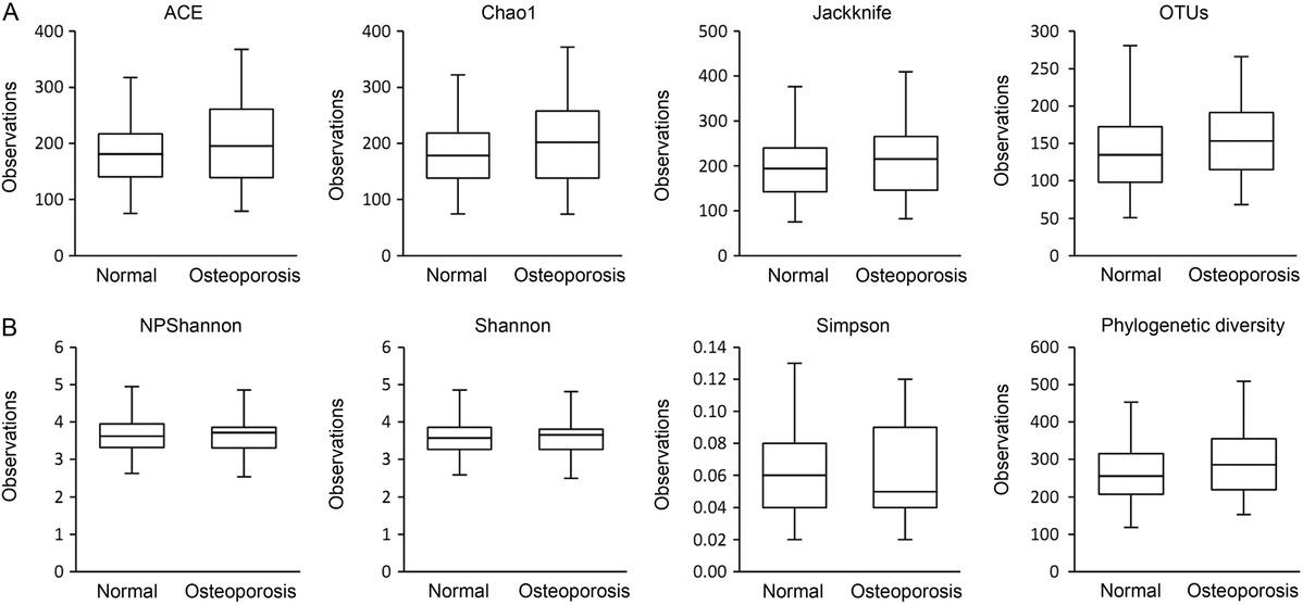 Alpha diversity indices for stool samples of healthy controls (normal) and osteoporosis (OP) patients. A) Species richness was analyzed with Ace, Chao1, Jackknife, OTUs, and B) Species diversity was analyzed with NPShannon, Shannon, Simpson, and Phylogenetic diversity. The horizontal thick black band represents the median value, and boxplot margins indicate the first and third quartiles.There was no significant difference between the two groups in any analysis results.