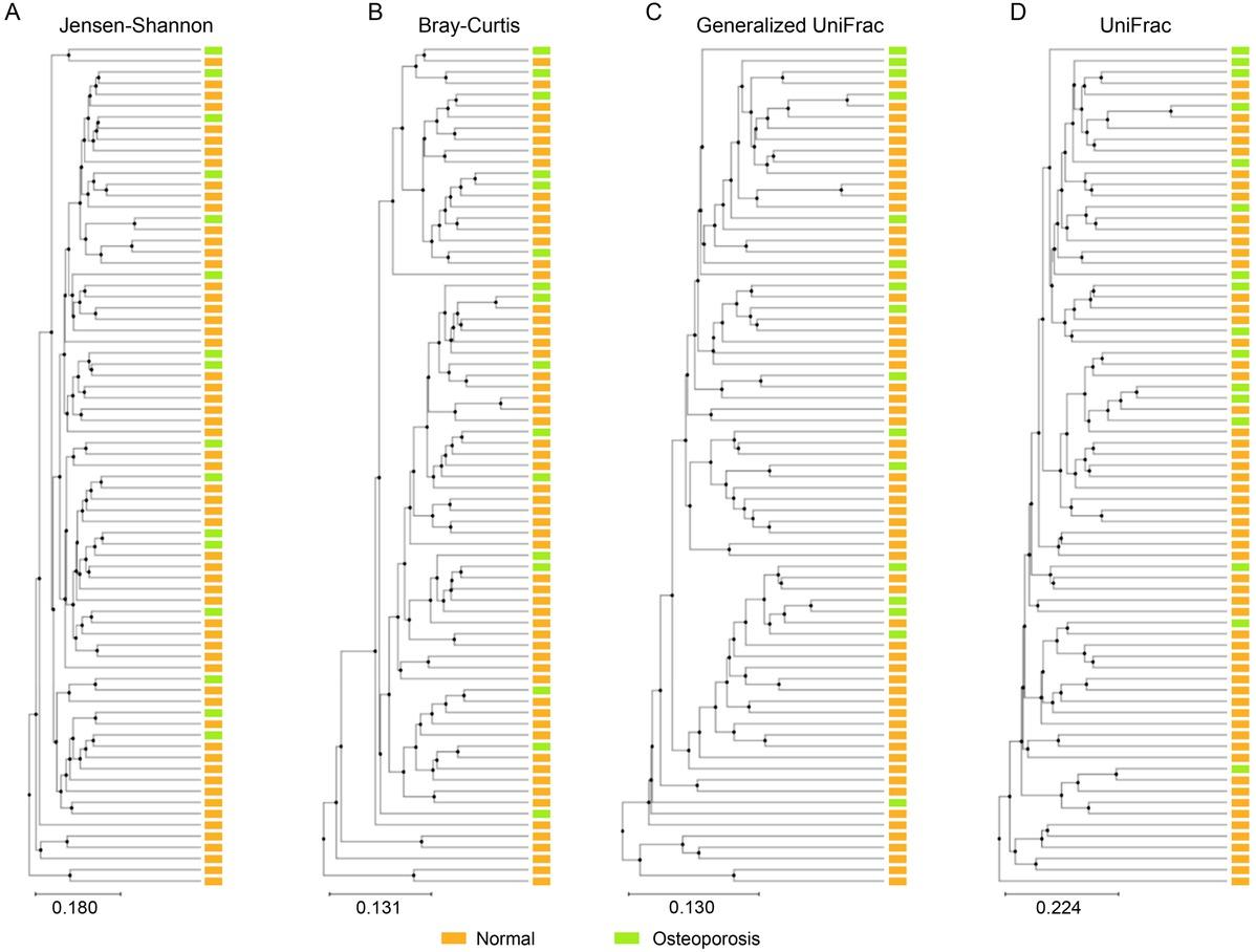 Clustering using the Unweighted Pair Group Method with Arithmetic mean (UPGMA). Healthy controls (normal) and osteoporosis (OP) patients were analyzed by A) Jensen-Shannon, B) Bray-Curtis, C) Generalized UniFrac, and D) UniFrac.