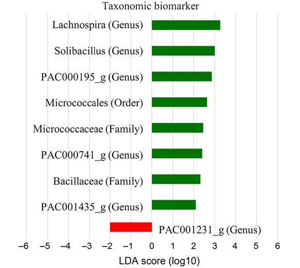 Distinct taxa identified in healthy controls (normal) and osteoporosis (OP) patients using LEfSe (Linear discriminant analysis Effect Size) analysis. Taxonomic variations with linear discriminant analysis (LDA) scores greater than 2 and significance at α < 0.05 as determined by the Kruskal-Wallis test are presented here. The raw data of the above analysis results are presented in Table SIII.