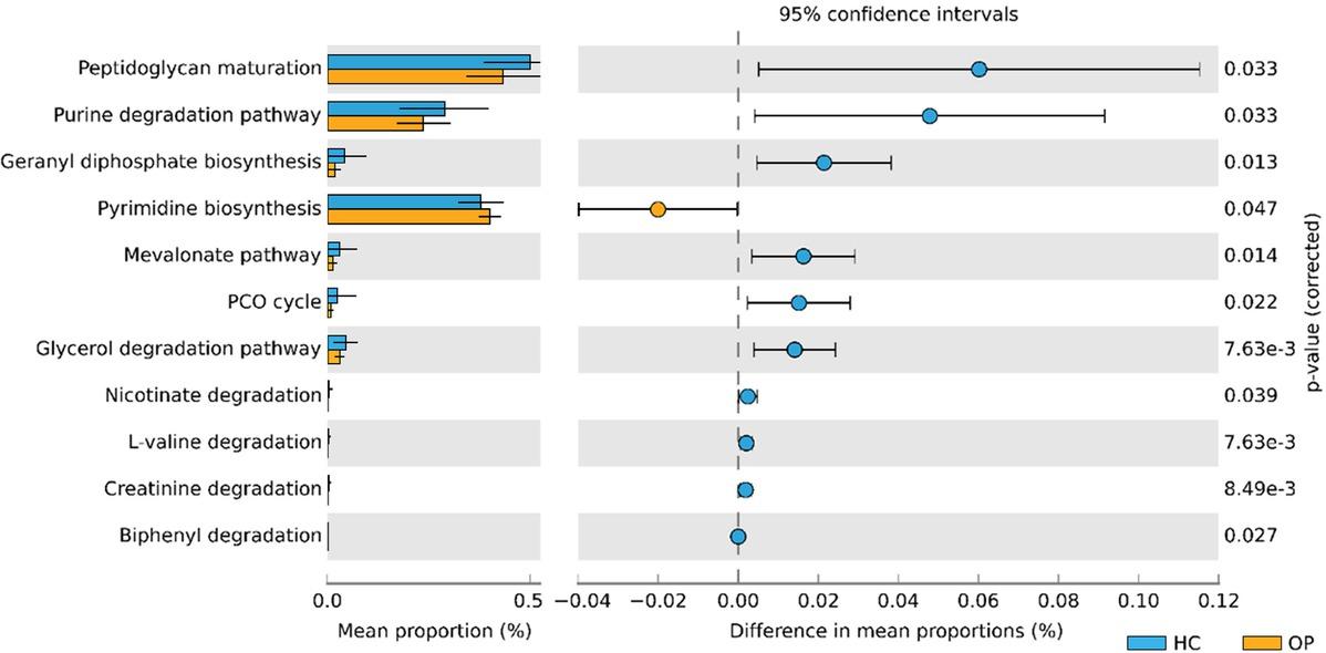 Functional differences between OP and HC groups. A total of 11 metabolic pathways varied between the two groups. Tests were conducted at Kyoto Encyclopedia of Genes and Genomes (KEGG) using Phylogenetic Investigation of Communities by Reconstruction of Unobserved States (PICRUST) and MetaCyc webserver. PCO, photorespiratory carbon oxidation.