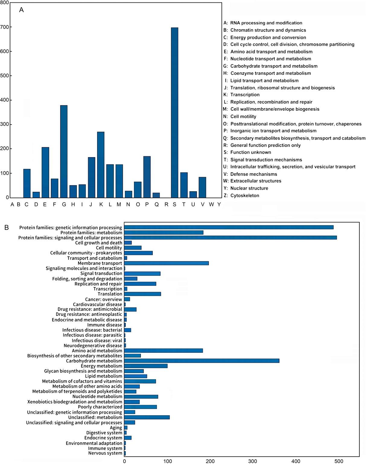 Genome annotation of strain BF-1.
A) COG functional gene classification, B) KEGG functional gene classification.