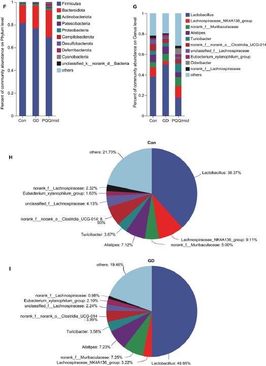 PQQ alters the composition and abundance of intestine flora in the GD group.
F) Percent of community abundance of 3 groups on the Phylum level. G) Percent of community abundance of 3 groups on the Genus level. On the genus level, percent of community abundance in H) the Con group, I) GD group and J) PQQ group.