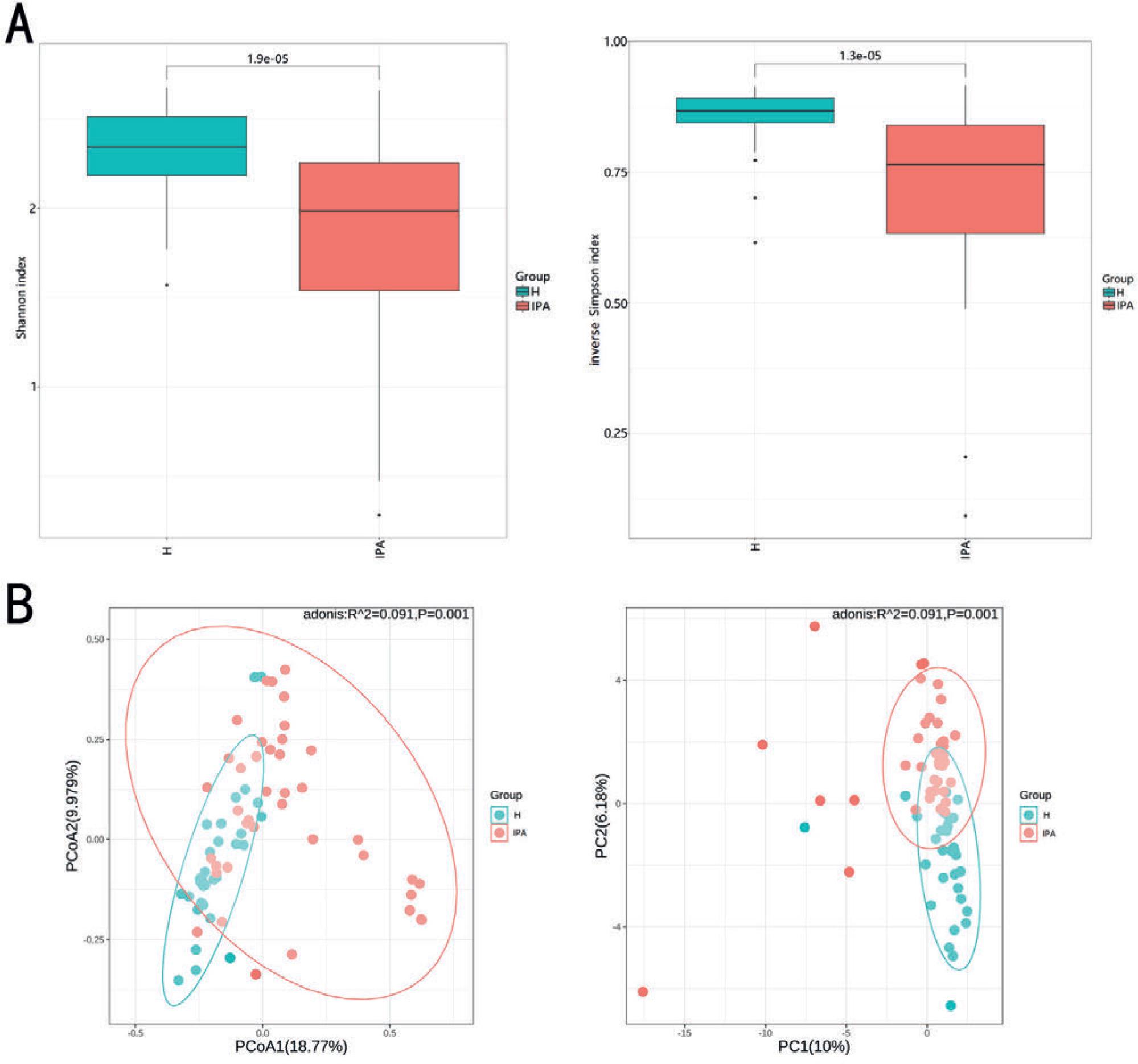 Comparison of alpha and beta diversity of gut microbiota between the H and IPA groups.
A)Alpha diversity analysis: Shannon index (p = 1.9 × 10−5), inverse Simpson index (p = 1.3 × 10−5); B) Beta diversity analysis: principal coordinate analysis (p = 0.001) and principal component analysis (p = 0.001) based on Bray–Curtis distance. H – healthy controls, IPA – invasive pulmonary aspergillosis.