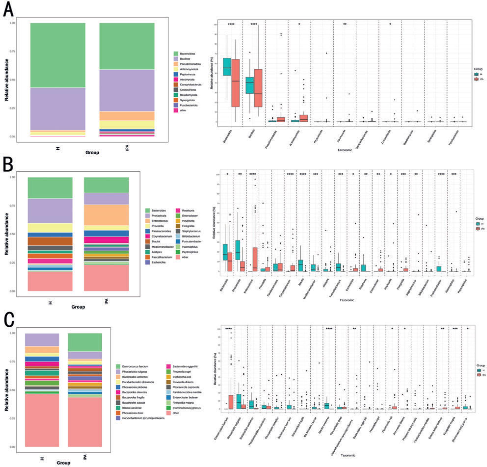 Microbial composition and different species analysis of the H and IPA groups at different levels of phylum, genus, and species.
A)Phylum-level microbial composition and differential species analysis; B) genus-level microbial composition and differential species analysis; C) species-level microbial composition and differential species analysis. (* p < 0.05; ** p < 0.01; *** p < 0.001; **** p < 0.0001). H – healthy controls, IPA – invasive pulmonary aspergillosis.