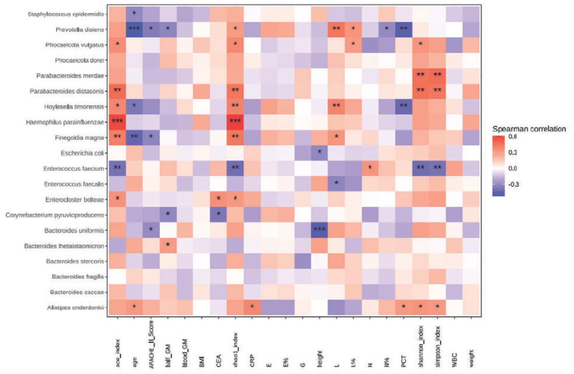 Spearman’s correlation analysis between clinical indicators and gut microbiota in patients with IPA.
The color depth in the heat map indicates the strength of the correlation: red indicates a positive correlation and blue indicates a negative correlation (* p < 0.05; ** p < 0.01; *** p < 0.001). APACHE II score - Acute Physiology and Chronic Health Evaluation II score; balf GM – bronchoalveolar lavage fluid galactomannan; blood GM – serum galactomannan; G – serum (1-3)-β-d-glucan; BMI – body mass index; CEA – carcinoembiyonic antigen; CRP – C-reactive protein; E – eosinophil count; E% – eosinophil percentage; L – lymphocyte count; L% – lymphocyte percentage; N – neutrophil count; N% – neutrophil percentage; PCT – procalcitonin; WBC – white blood cell, IPA – invasive pulmonary aspergillosis.