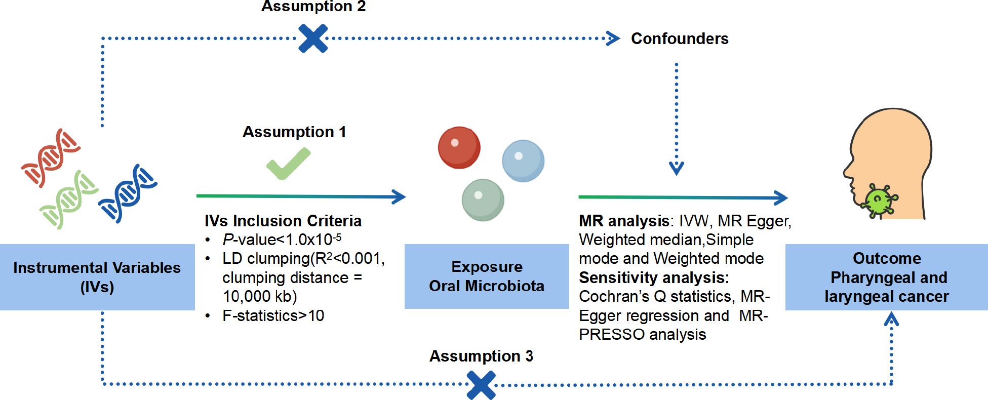 Schematic representation of the MR analysis.