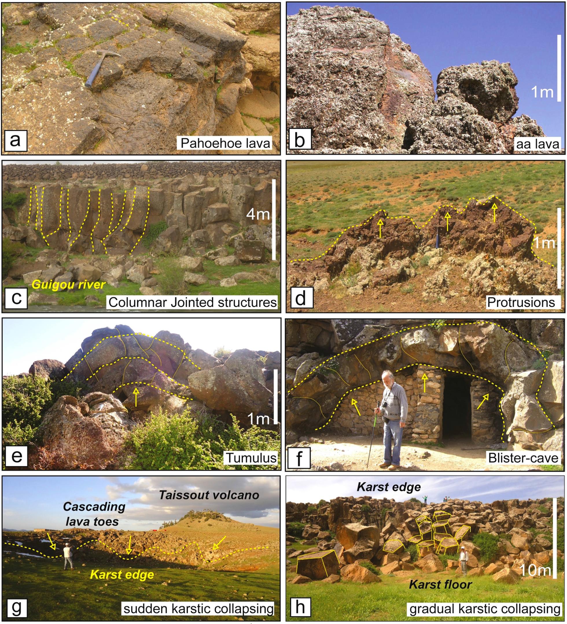 Main eruptive landforms and structures of lava flow units.
a)The smooth degassed surface of fluid pahoehoe lava near the Taïssaouite volcano.b)The rough scoriaceous aa surface of viscous lava tongue emitted from the base of the Taissousit volcano.c)Columnar jointed structure outcrops beside Oued Guigou on the south-eastern side of the Timahdite volcano.d)Fluid uprising lava intrusion emerging from an opened crack at the Aguelmam Sidi Ali volcano edge.e)Tumulus structure west of the Aguelmam Sidi Ali volcano.f)Blister-Cave that formed below the advancing Aghbalou Abarchan lava unit, which has about 5 m in width and 2 m in height.g)Photo of an advancing pahoehoe lava toes that cascade over karstic slopes simultaneously with a sudden collapsing near the north-western Taissout volcano; there are superb folded and wrinkled lava screes covering the karstic floor.h)Photo of a steady karstic collapsing at the eastern edge to Aguelmame Sidi Ali Lake; the inward tilting of the columnar basalt on the inner slope result from a long but continuous carbonate dissolution subsidence.
