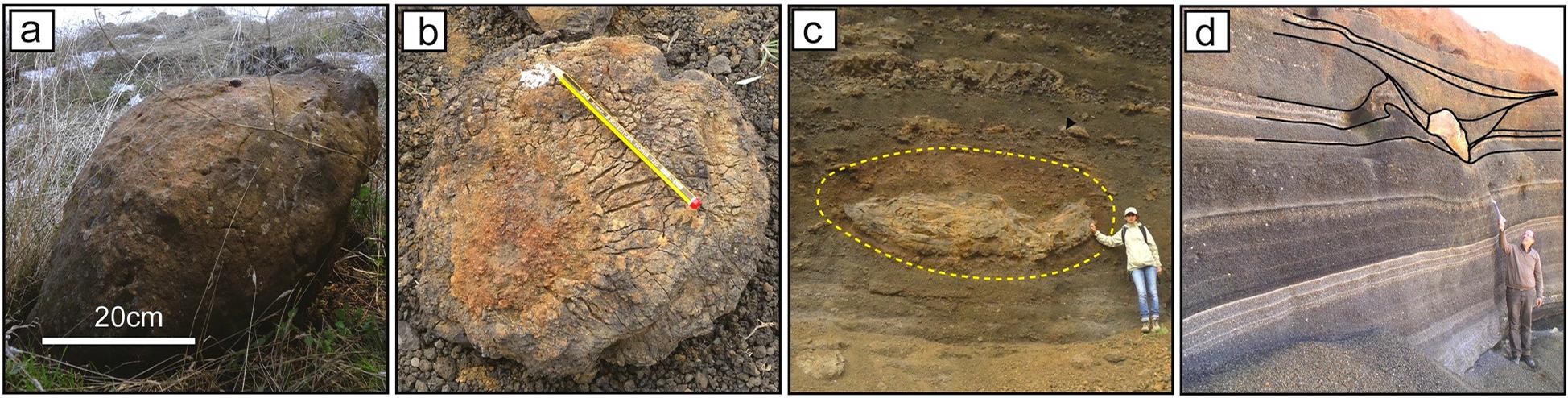 Eruptive deposits from Strombolian cones.
a)Spindle-bomb occurring on the northern flank of Jbel Habri.b)Bread-crust bomb occurring at the Strombolian base of west Hebri volcano.c)Proximal reddish and coarse facies outcrops from the north-eastern quarry of the Timahdite volcano; the centre of the photo uncovers a large cowpat-bomb, developing an oxidation aureole over surrounding deposits.d)Distal facies outcrops at the quarry on the eastern flank of Boutagrouine volcanic complex; interstratified ash levels attested the coexistence of both Strombolian and phreatomagmatic dynamics during the eruption.
