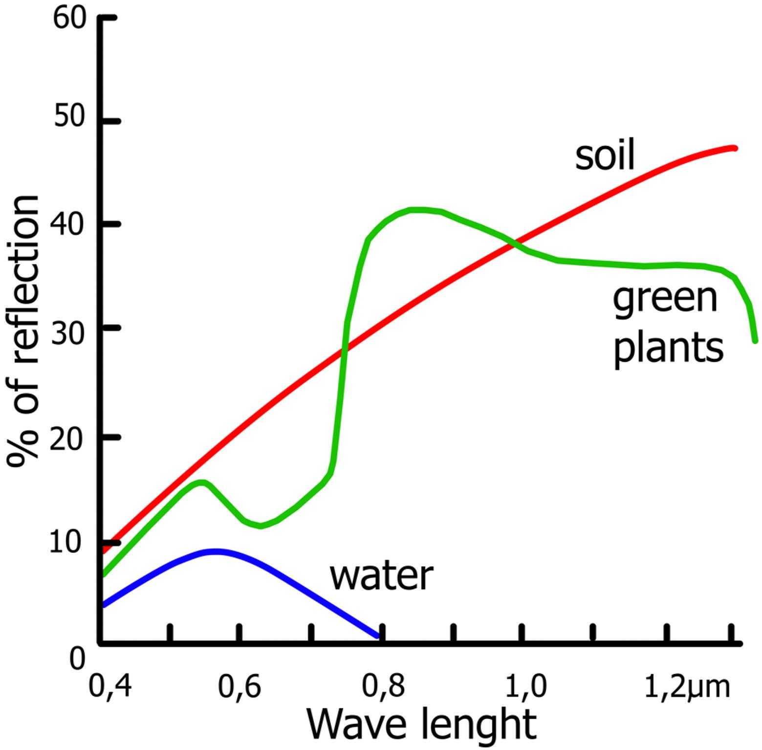 Standard spectral reflection curves of soil (red), vegetation (green) and water (blue) (Zawiła-Niedźwiecki 2010).