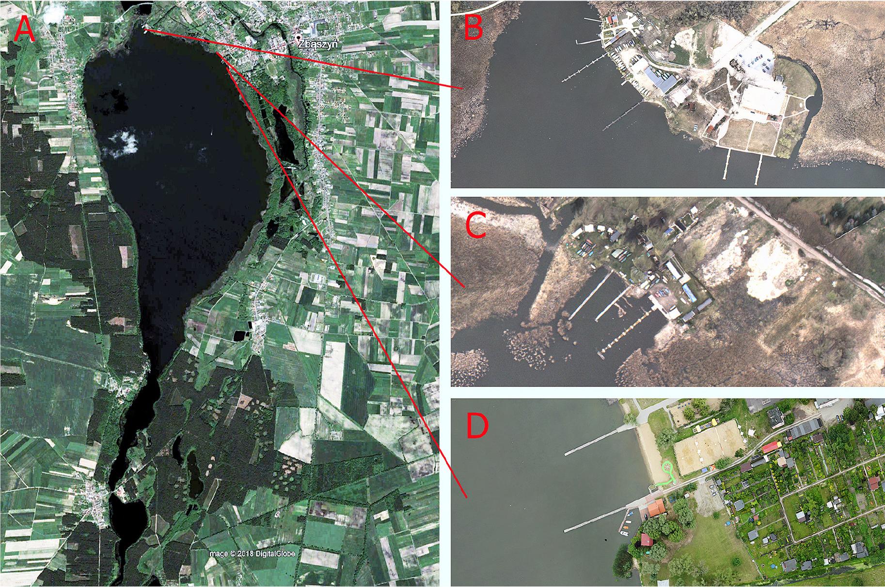 Tourist and recreational development of the Lake Zbąszyńskie.A – Lake Zbąszyńskie (https://www.google.pl/maps), B – marina and swimming pool (photo: M. Wyczałek), C – a fish farm (photo: M. Wyczałek), D – swimming pool and city beach.