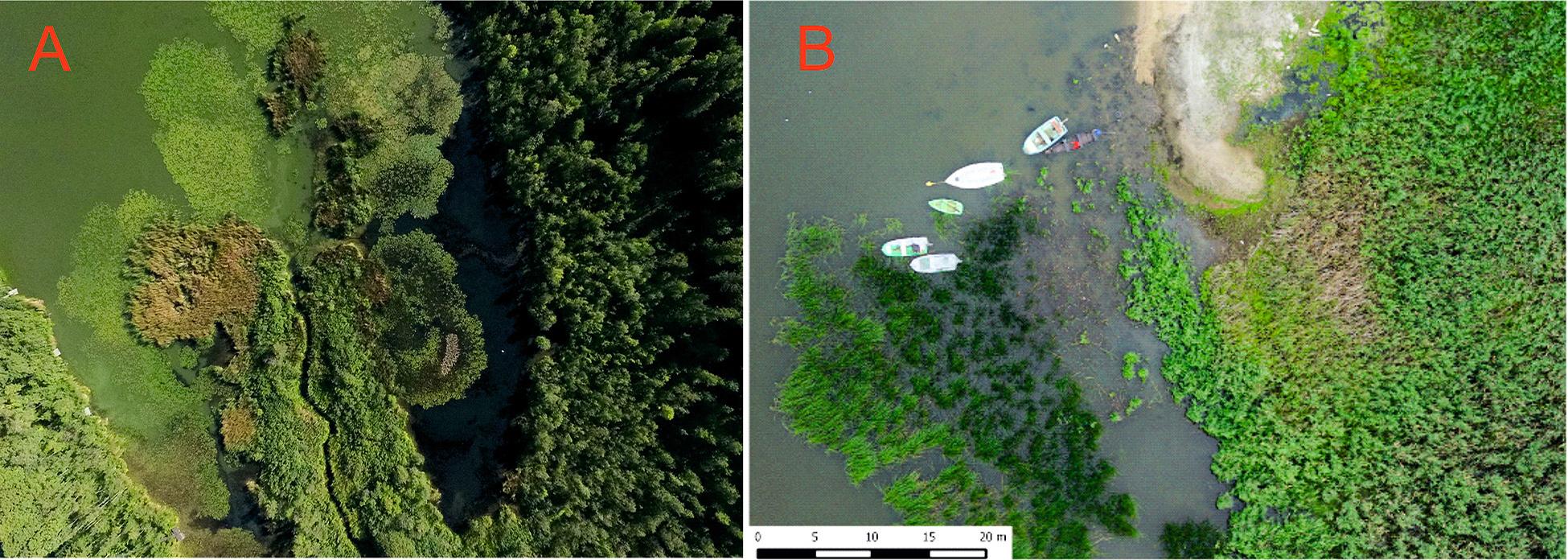 Influence of the Dojca River to Lake Wolsztyńskie (A) and the accessibility of the shores of the Lake Zbąszyńskie (B).