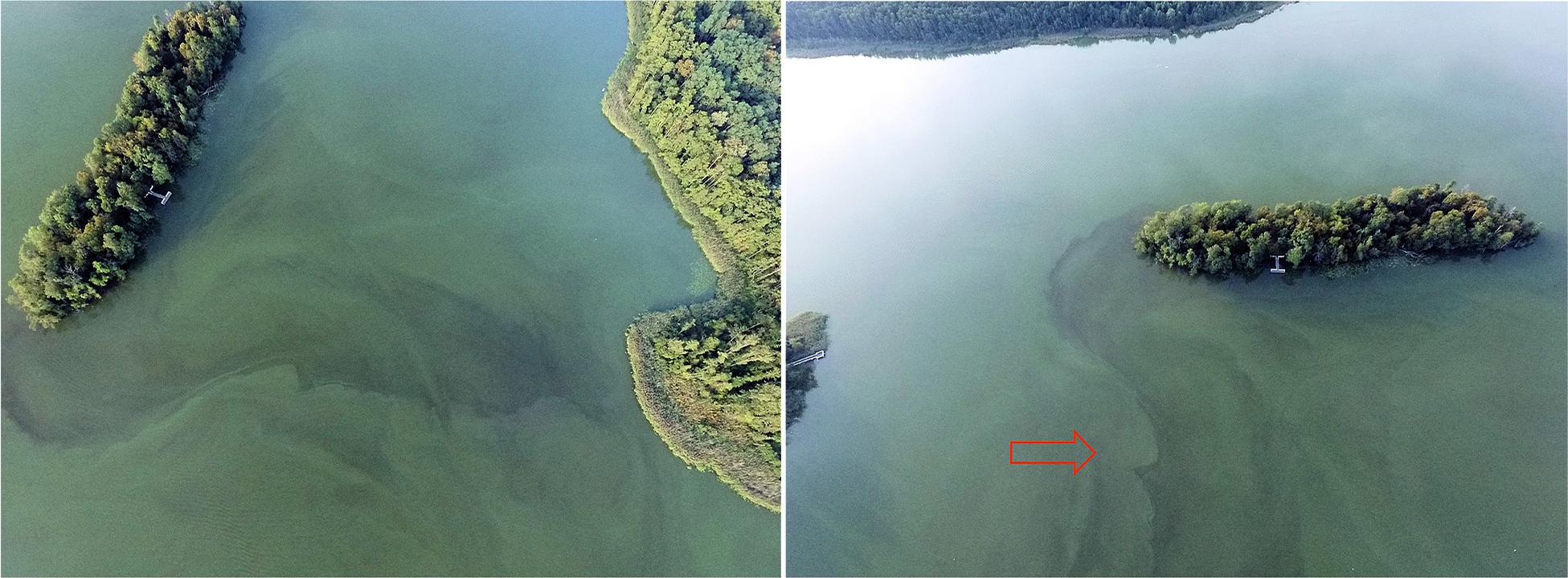 Monitoring of pollution movement on the example of blooms in Lake Wolsztyńskie.