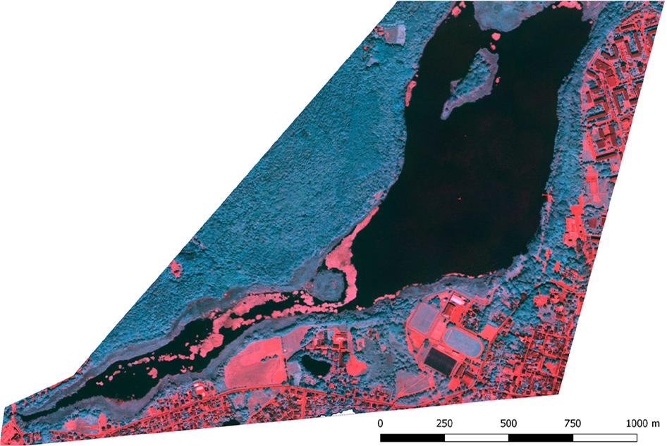 A picture of the Lake Swarzędzkie in near infrared to establish the course of the shoreline and the surface of the basin (prepared by M. Wyczałek).