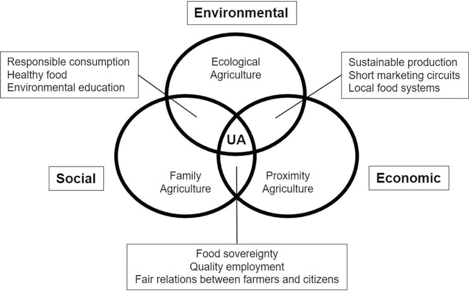 The significance of agriculture in the context of sustainable development of the city.Source: own compilation.