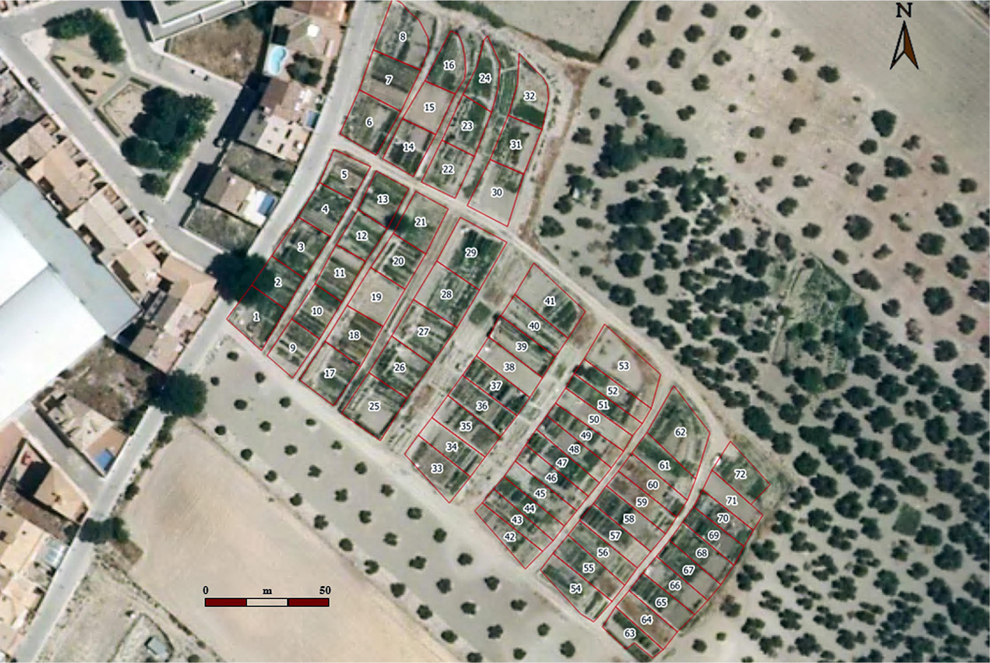 Allotment gardens in Baeza in 2018.Source: own elaboration.