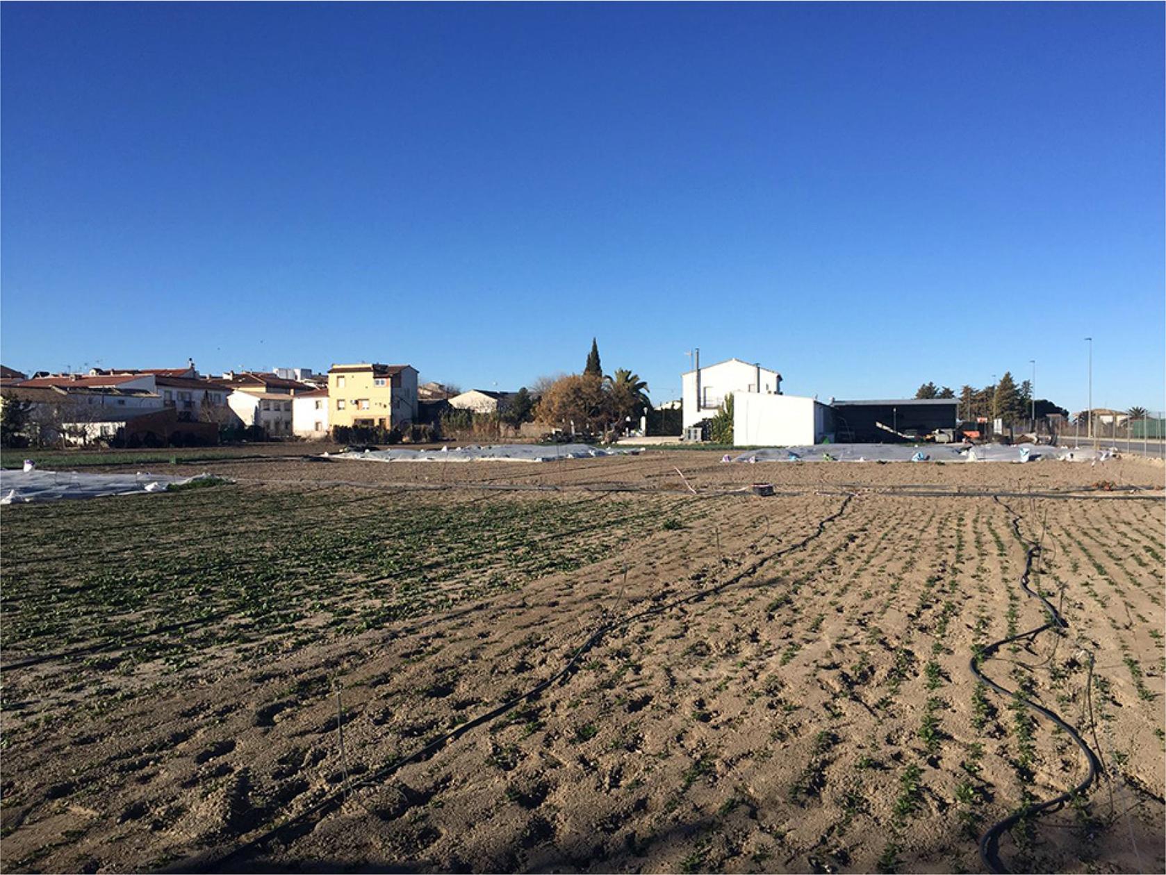 Traditional vegetable garden (huerta) in Baeza in 2018.Source: picture taken by the authors.