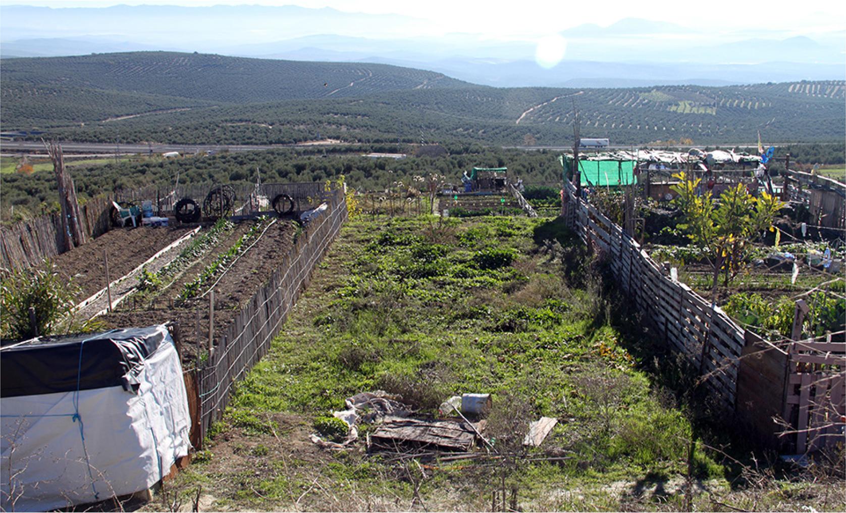 An example of a vacated plot.Source: pictures taken by the authors.