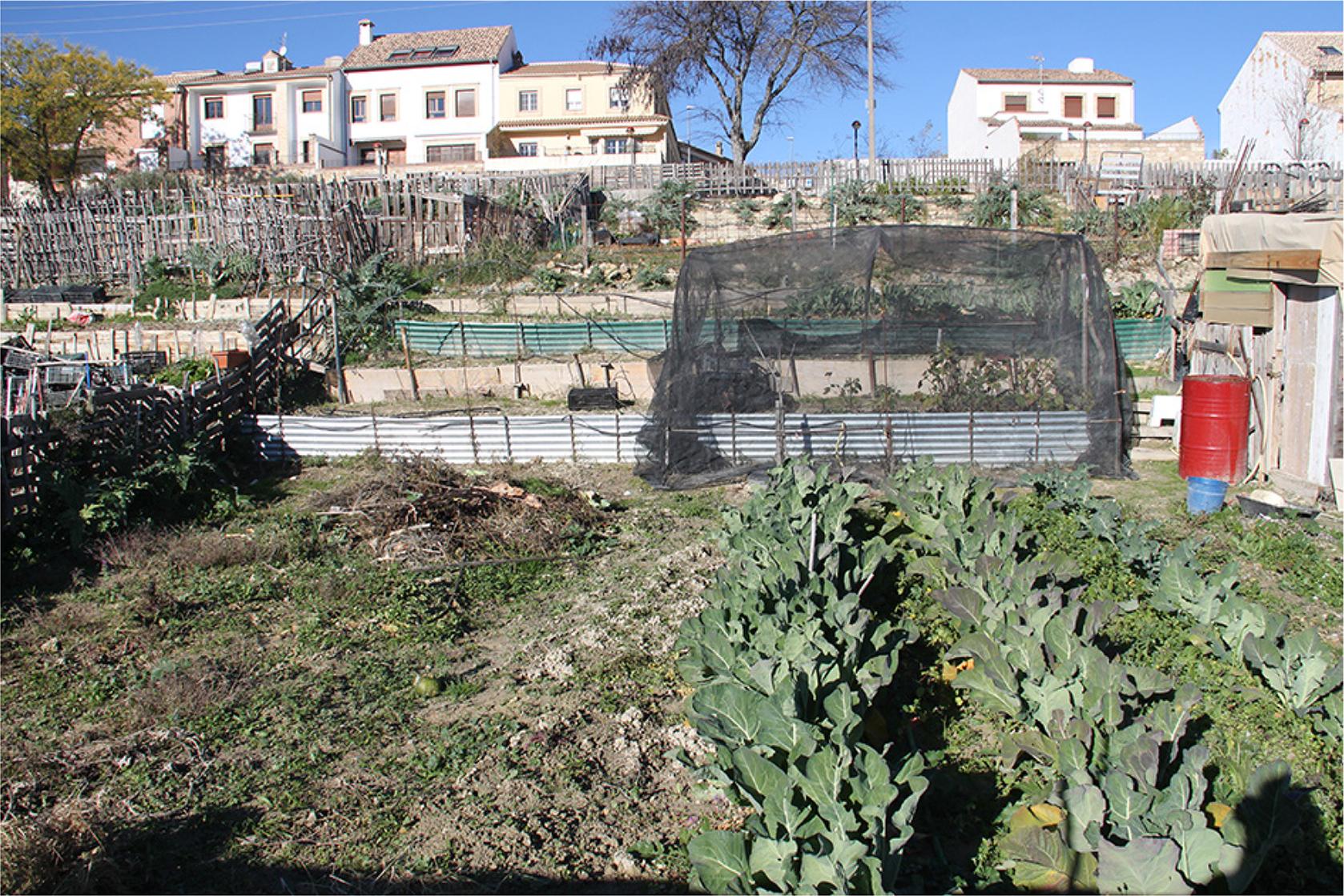 An example of setting aside (barbecho) a certain proportion of the plot.Source: picture taken by the authors.