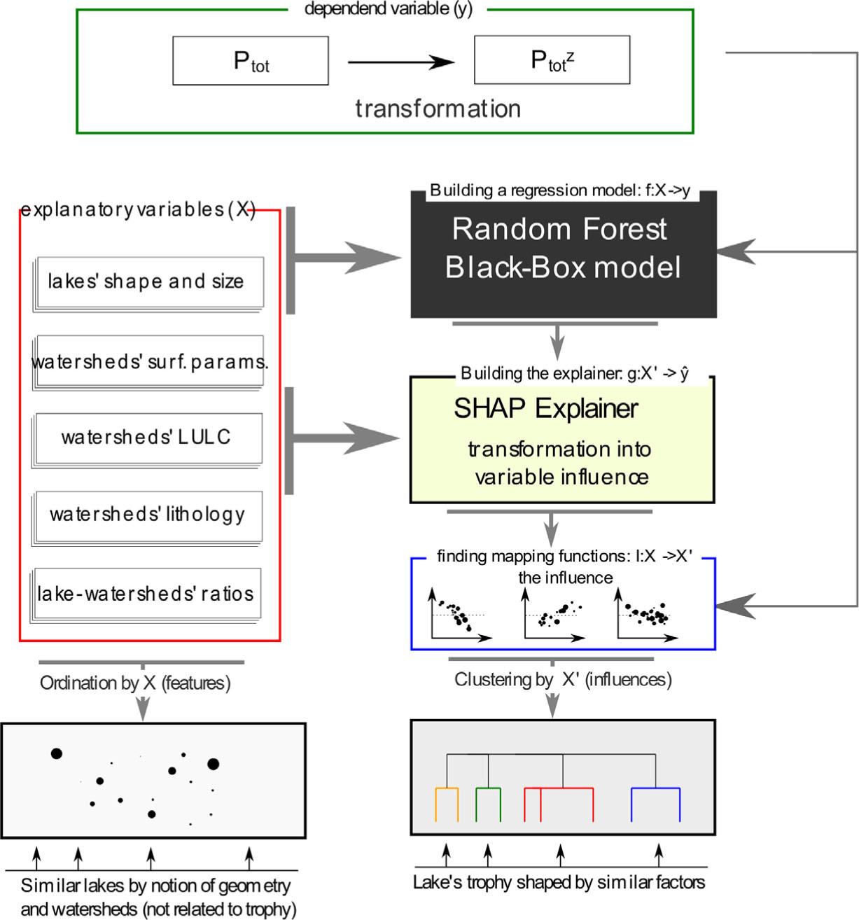 The outline of methodology. See Section ‘Methods’ for details.