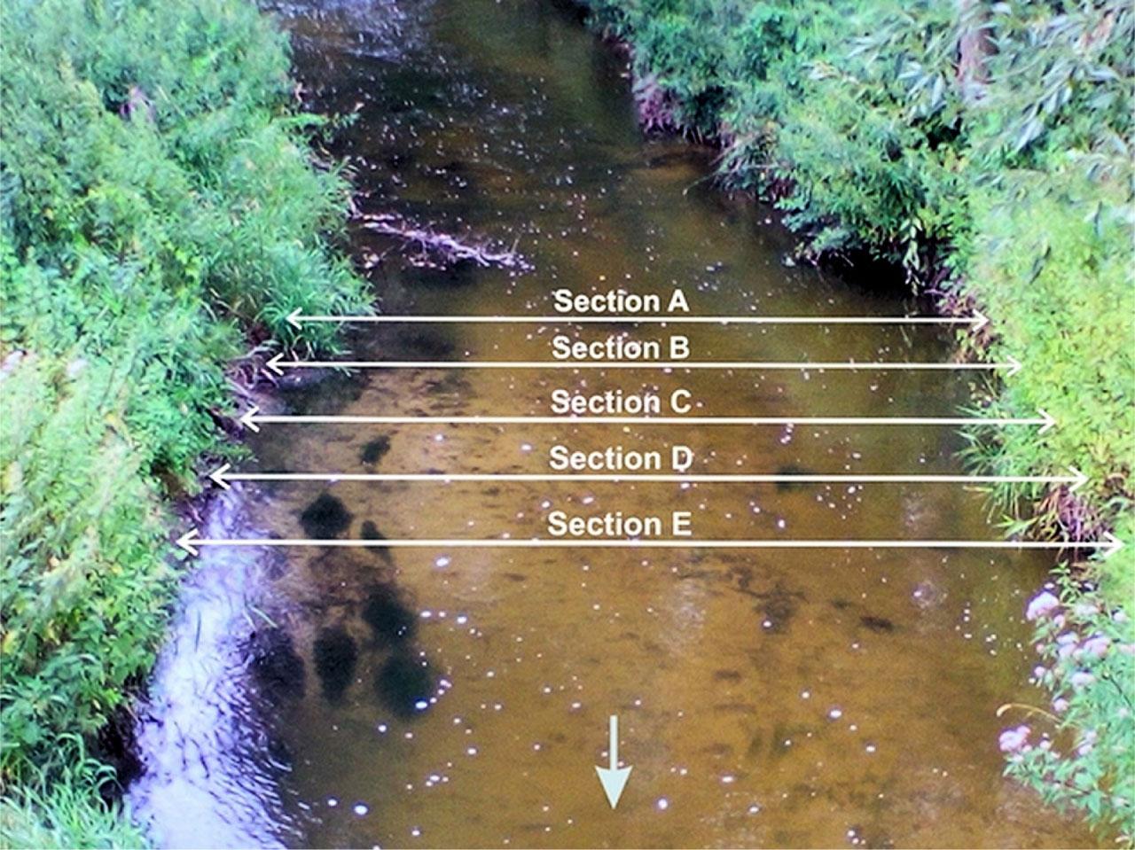 Place of measurements of the hydraulic gradient on the straight section of the Moszczenica River (the arrow shows the direction of the river flow).