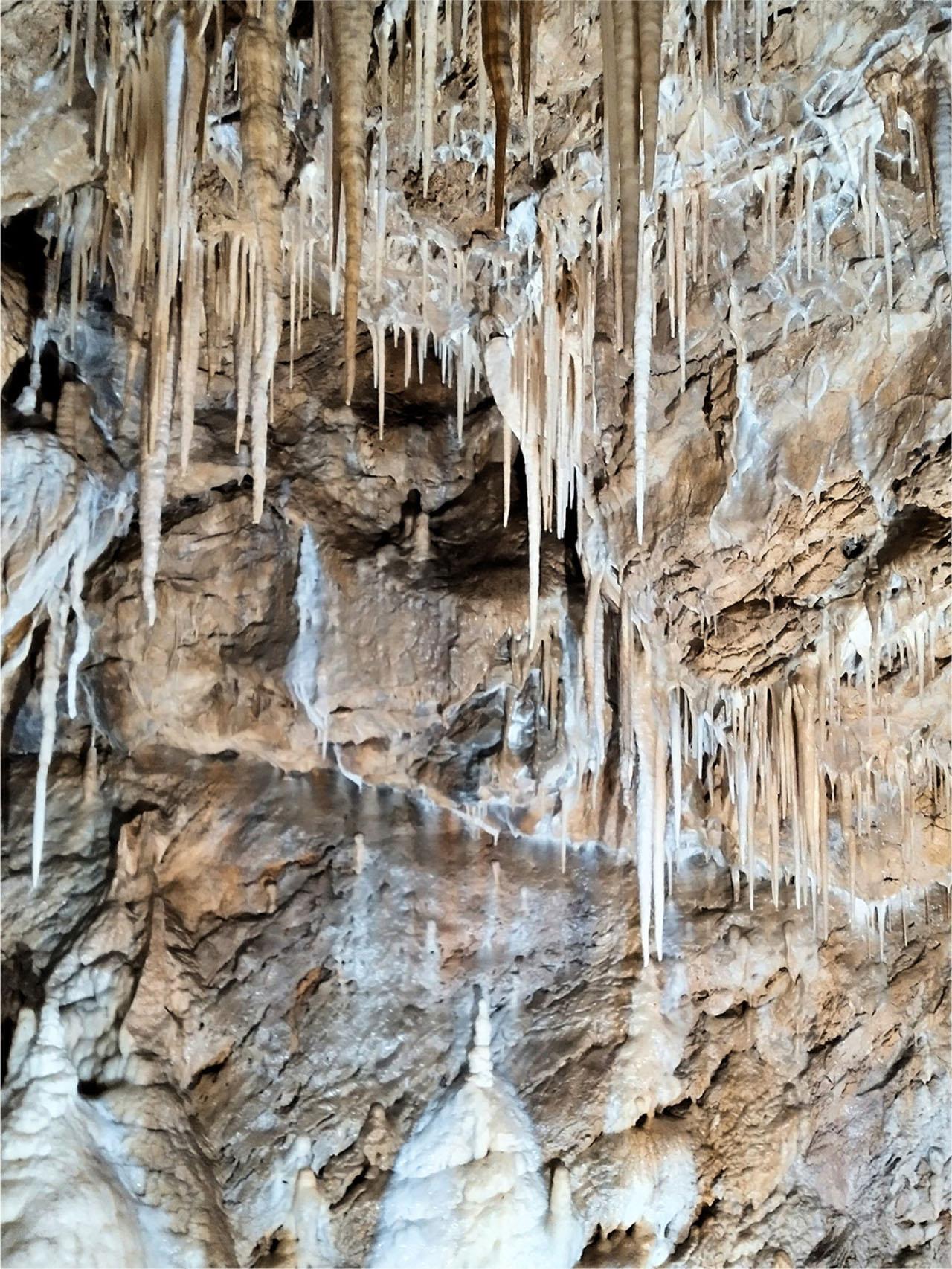Speleothems in the Niedźwiedzia Cave, the most attractive show cave in Poland (photo Zb.Zwoliński 2022).