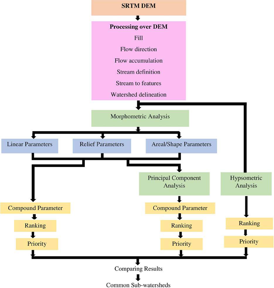 Methodology used in the present study.