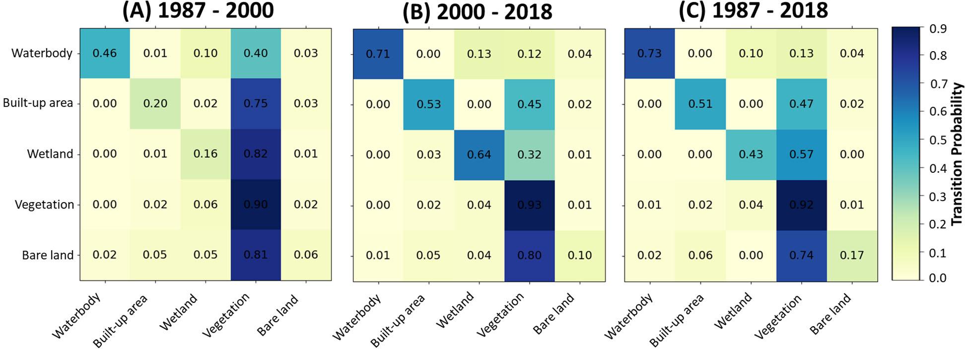 Transition probability matrix for land cover maps from 1987 to 2000 (A). Transition probability matrix for land cover maps from 2000 to 2018 (B). Transition probability matrix for land cover maps from 1987 to 2018 (C).