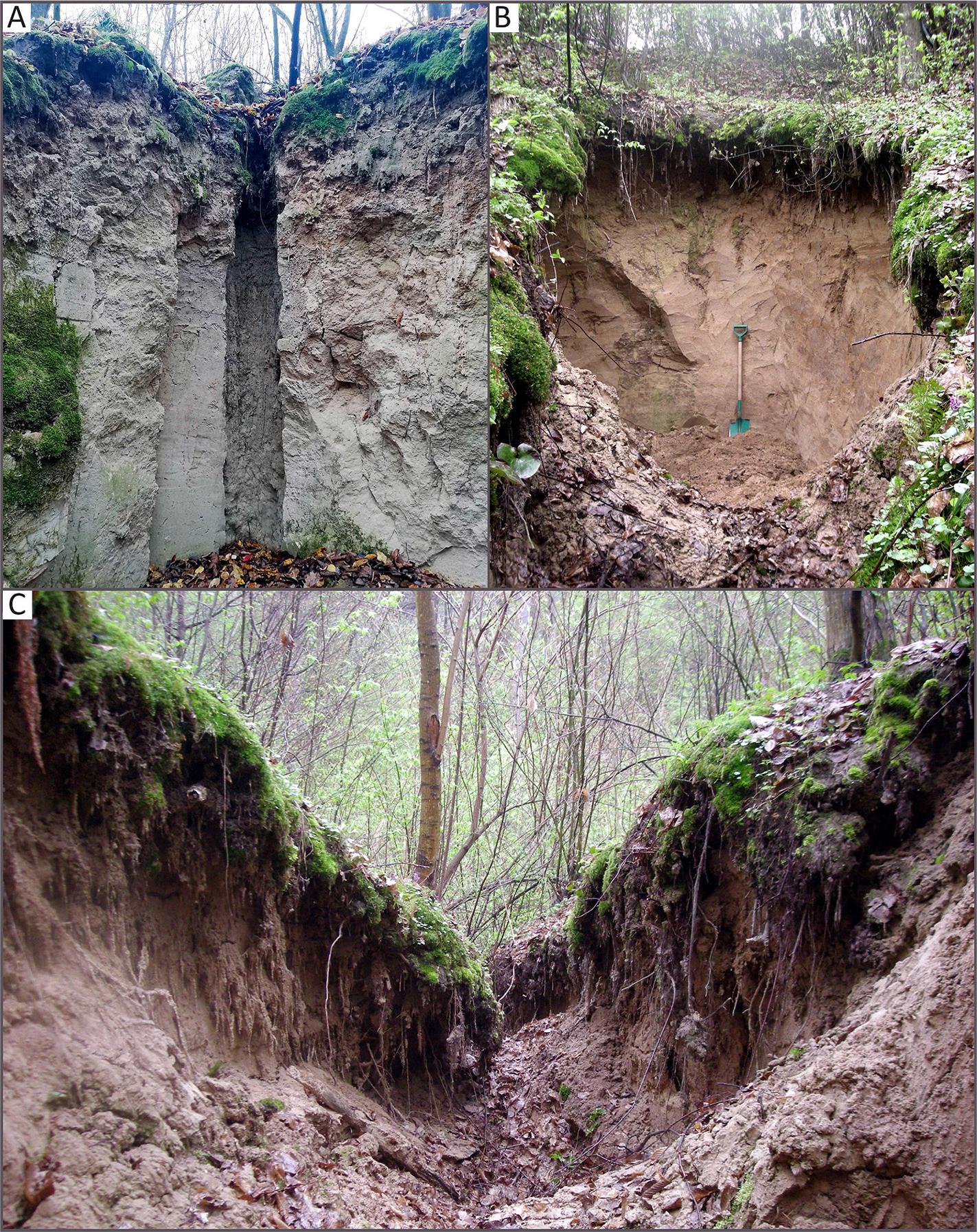 The secondary collapsed pipe at Site 2: A – front loess wall with pipe, B – side wall with colluvial fill, C – drainage channel.