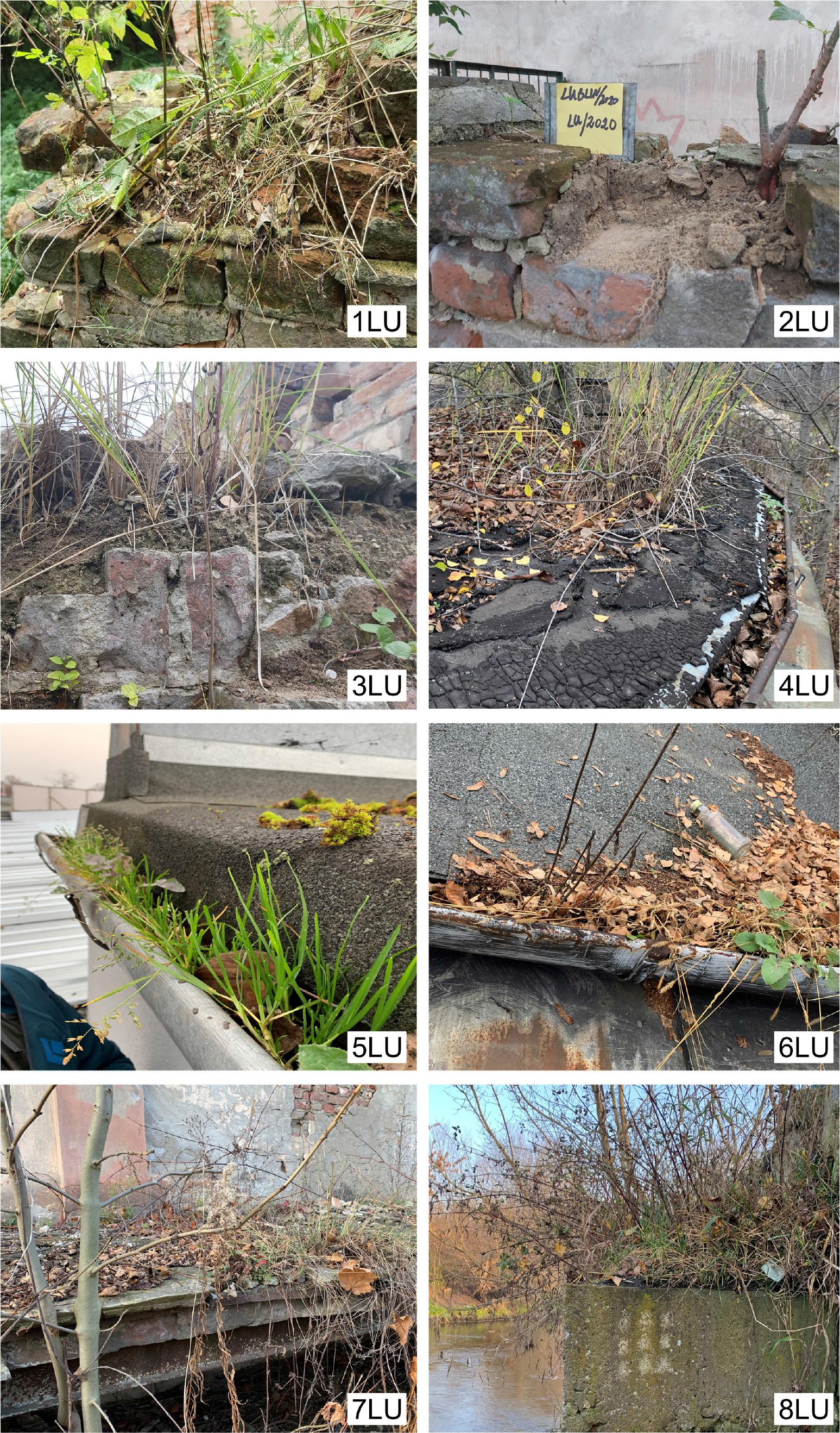 Analysed soils: 1LU – watermill, 2LU – brick wall, 3LU – industrial plant (dyehouse), 4LU – railway outbuilding, 5LU – industrial plant, 6LU – car garage, 7LU – railway ramp, 8LU – concrete bridge pillar.
