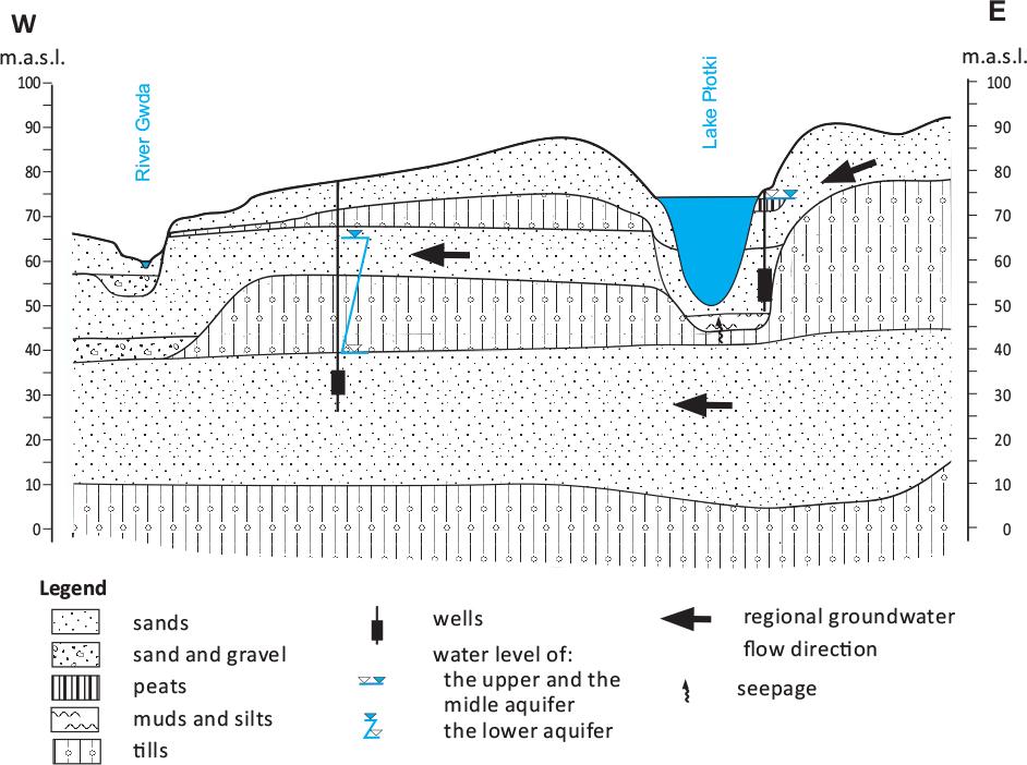 Cross-section illustrating a scheme of hydrogeological conditions in the area of Lake Płotki.