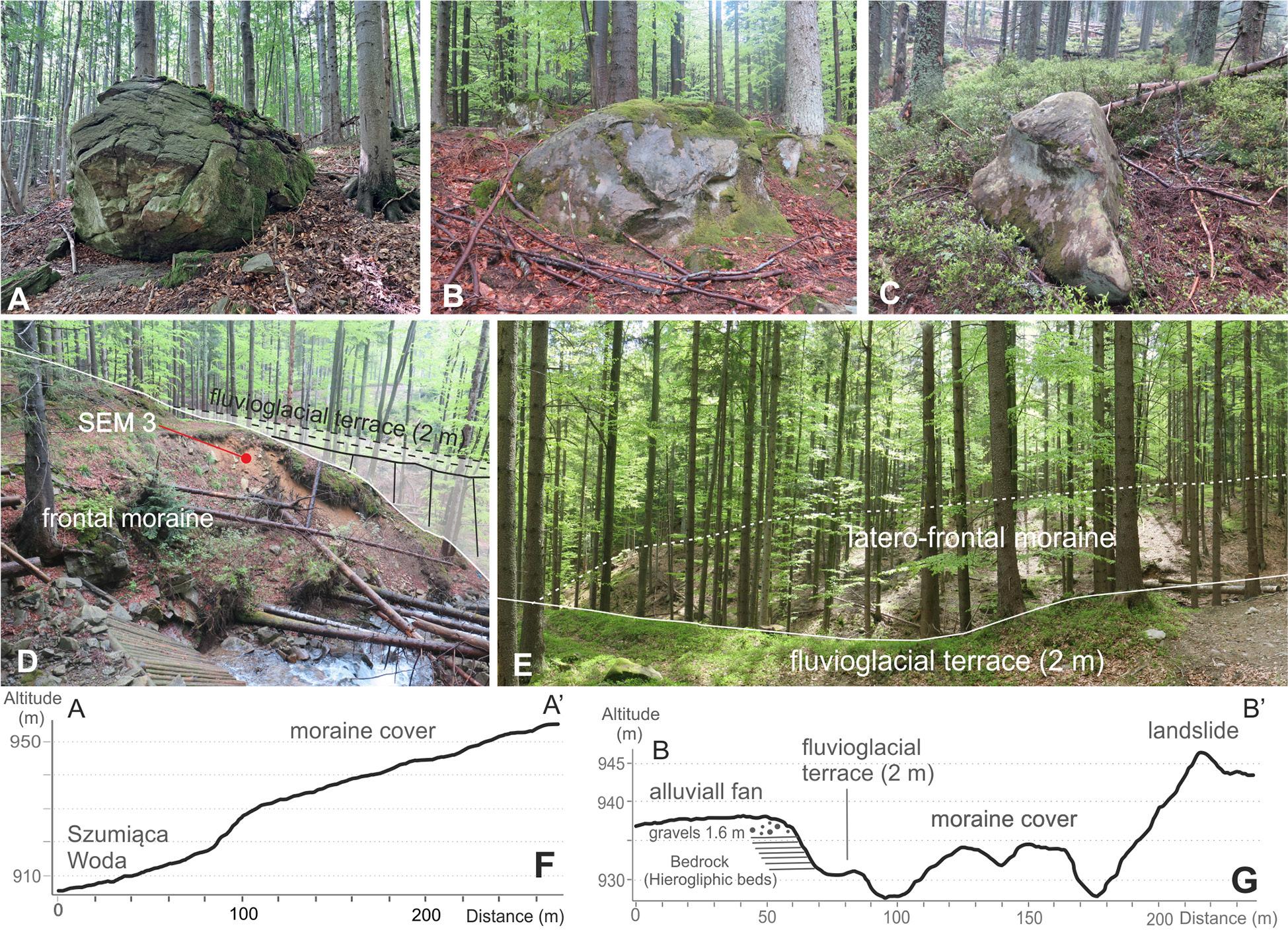 Moraine landforms and sediments in the Babia Góra massif. A–C – examples of large surface boulders at the surface of moraine covers (for location see Fig. 3A). D – a steep 15 m high front of moraines in the Szumiąca Woda valley (view from the east). E – laterofrontal moraines in the Szumiąca Woda valley (view from the west). F – longitudinal profile along the axis of the Szumiąca Woda valley (for location see Fig. 3A). G – transversal profile across moraine covers in the Szumiąca Woda valley (for location see Fig. 3A).