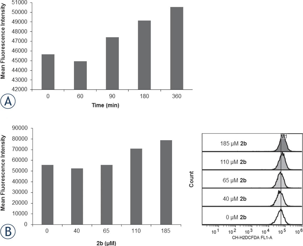 Formation of ROS by 2b in H460 cells. Logarithmically growing H460 cells were stained for 1 hour with 10 mM CM-H2DCFDA and then either treated with 110 μM 2b during indicated time points (A) or treated with indicated concentrations of 2b for 180 min (3 hours) (B). Afterward ROS formation was determined by flow cytometry as described in Materials and methods section. Dose-dependent formation of ROS was additionally presented by cell count and fluorescence intensity of CMH2DCFDA. M1 line is positioned to designate MFI value of the non-treated sample (white histogram) compared to signals obtained upon cell treatment with indicated concentrations of 2b.