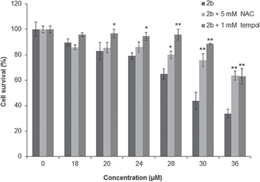 The effects of ROS scavenger on survival of H460 cells treated with 2b determined by MTT assay. H460 cells were seeded and next day pretreated for 2 hours with 5 mM of NAC or 1 mM tempol. Afterwards different concentrations of 2b were added. The cell survival was determined 72 hours later by MTT assay as described in Materials and methods section. Each point represents the mean ±SD of at least three independent experiments. All data are expressed as the average percentage of survival values relative to an untreated control ± SD or samples treated with antioxidants alone. The significance in differences is indicated (*, P < 0.05; **, P < 0.01).