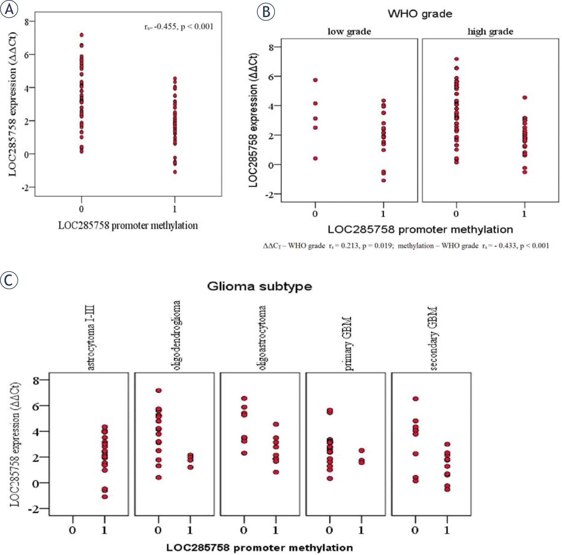 Scatter plots showing (A)LOC285758 expression (qPCR) in association to methylation status. Unmethylated samples showed higher expression levels compared to methylated ones. (B)LOC285758 expression and promoter methylation status significantly differ regarding the WHO malignancy grade and (C) glioma subtype, especially comparing astrocytoma grade I-III (all samples were methylated) to grade IV (GBMs were largely unmethylated).Promoter methylation: 0 = unmethylated, 1 = methylated