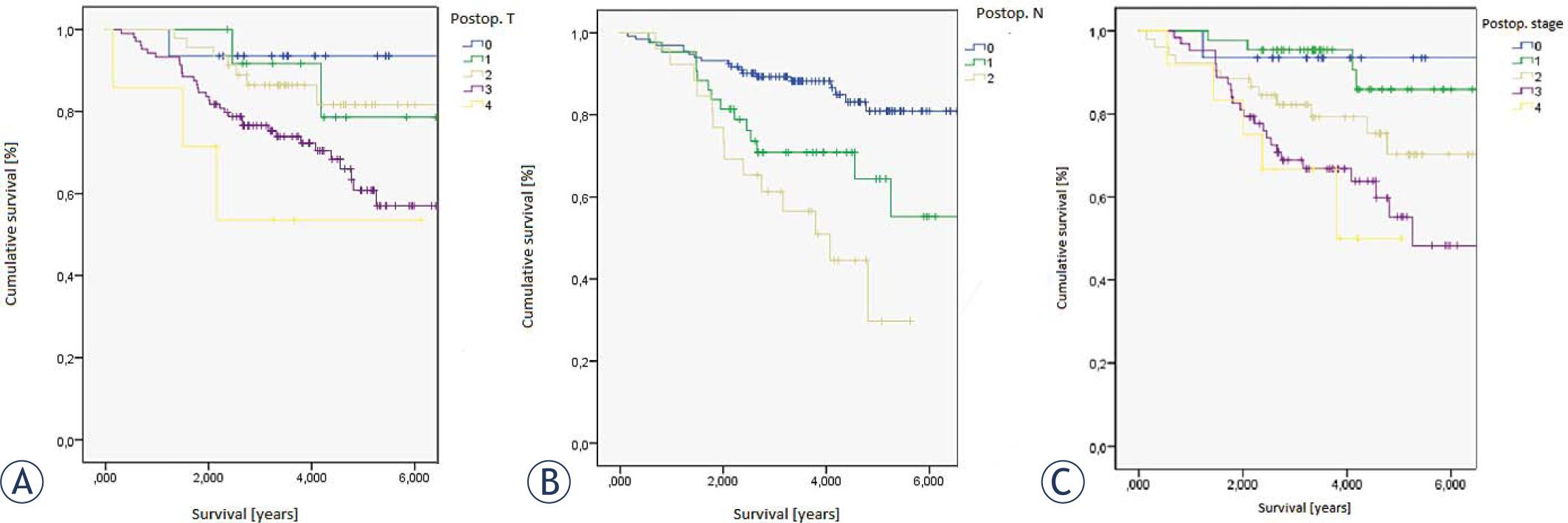 Survival according to (A) postoperative T (ypT), (B) postoperative N (ypN) and (C) postoperative stage (yS).