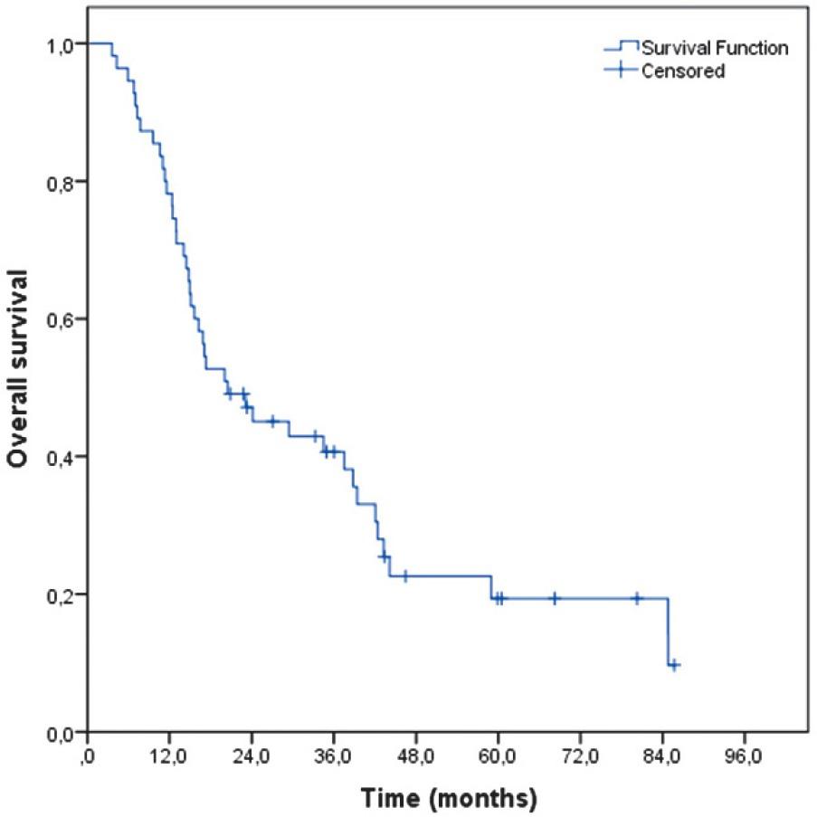 Overall survival curve.